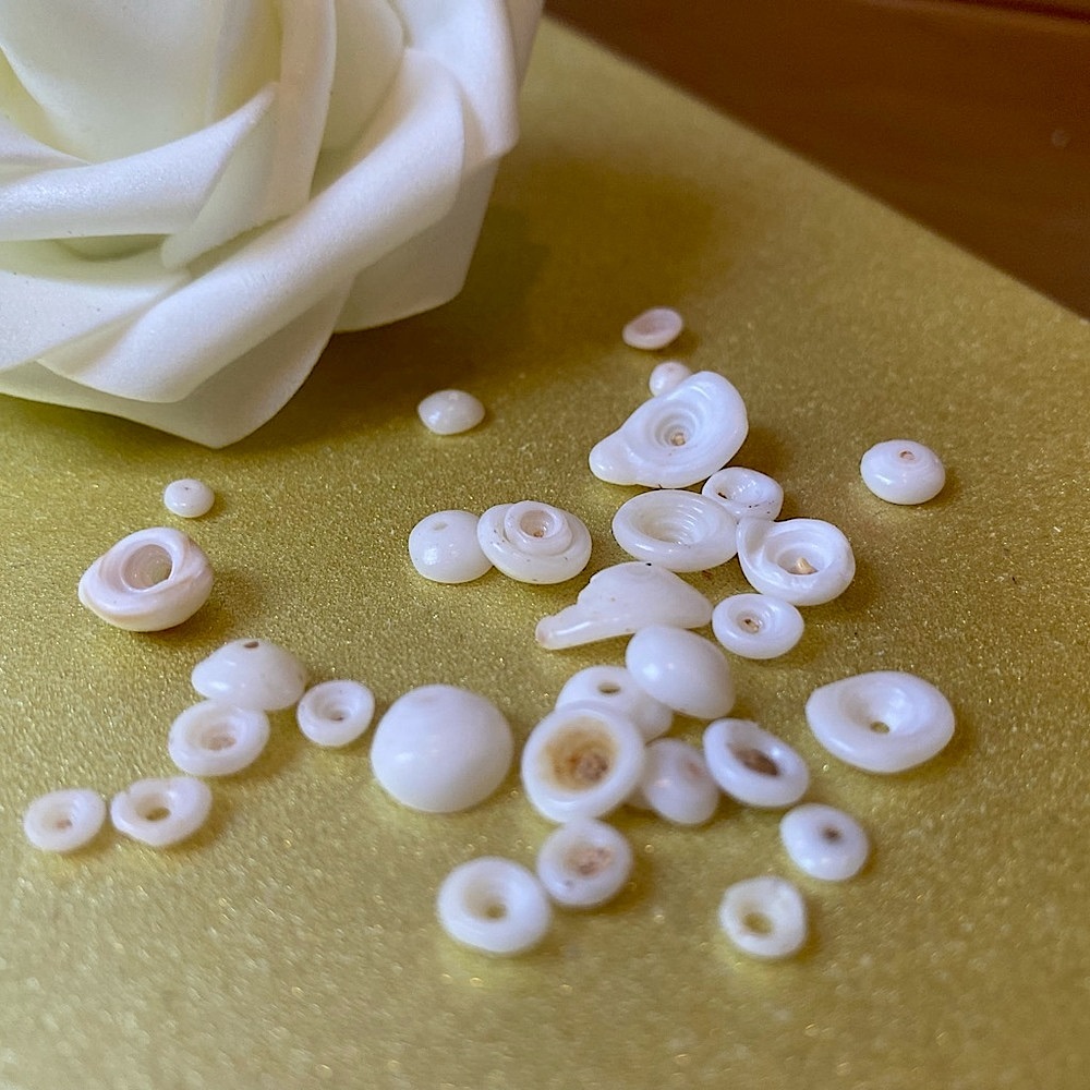 🐚🐚 Puka Shells from Maui. *authentic